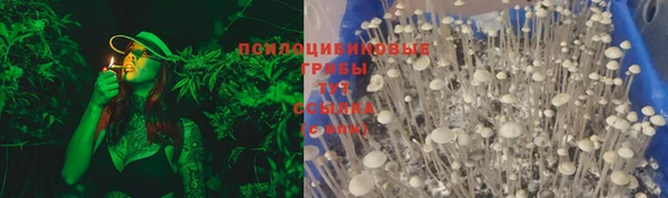 mdpv Медвежьегорск