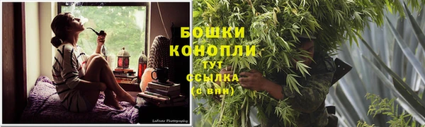 mdpv Медвежьегорск