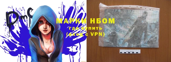 ПСИЛОЦИБИНОВЫЕ ГРИБЫ Магас